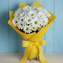 Букет цветов из:  Хризантемы в Шагонаре