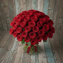 Букет 55 Красных роз Фридом #REPLACE_PRED# Шагонаре