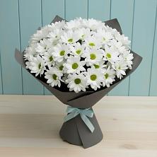 Букет цветов из:  Хризантемы в Шагонаре