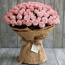 Букет 151 Роза Роуз #REPLACE_PRED# Шагонаре